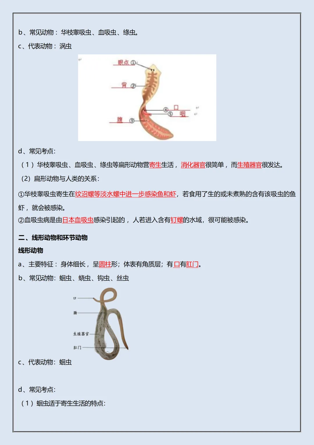 【初一】2026秋七年级上册生物重要知识点归纳总结,有完整版可打印,建议家长领取一份打印给孩子!-第10张图片-四季读书网