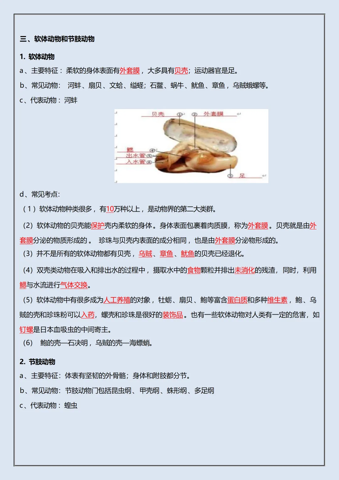 【初一】2026秋七年级上册生物重要知识点归纳总结,有完整版可打印,建议家长领取一份打印给孩子!-第12张图片-四季读书网