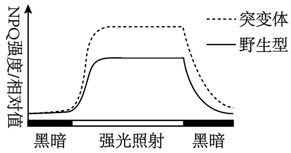 4.山东7年高考生物说明影响结论表现为类长空设问汇编(2020-2026)-第3张图片-四季读书网