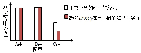 4.山东7年高考生物说明影响结论表现为类长空设问汇编(2020-2026)-第5张图片-四季读书网