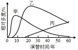 4.山东7年高考生物说明影响结论表现为类长空设问汇编(2020-2026)-第6张图片-四季读书网