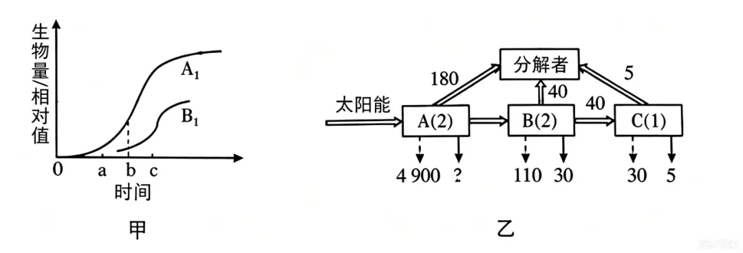 4.山东7年高考生物说明影响结论表现为类长空设问汇编(2020-2026)-第7张图片-四季读书网