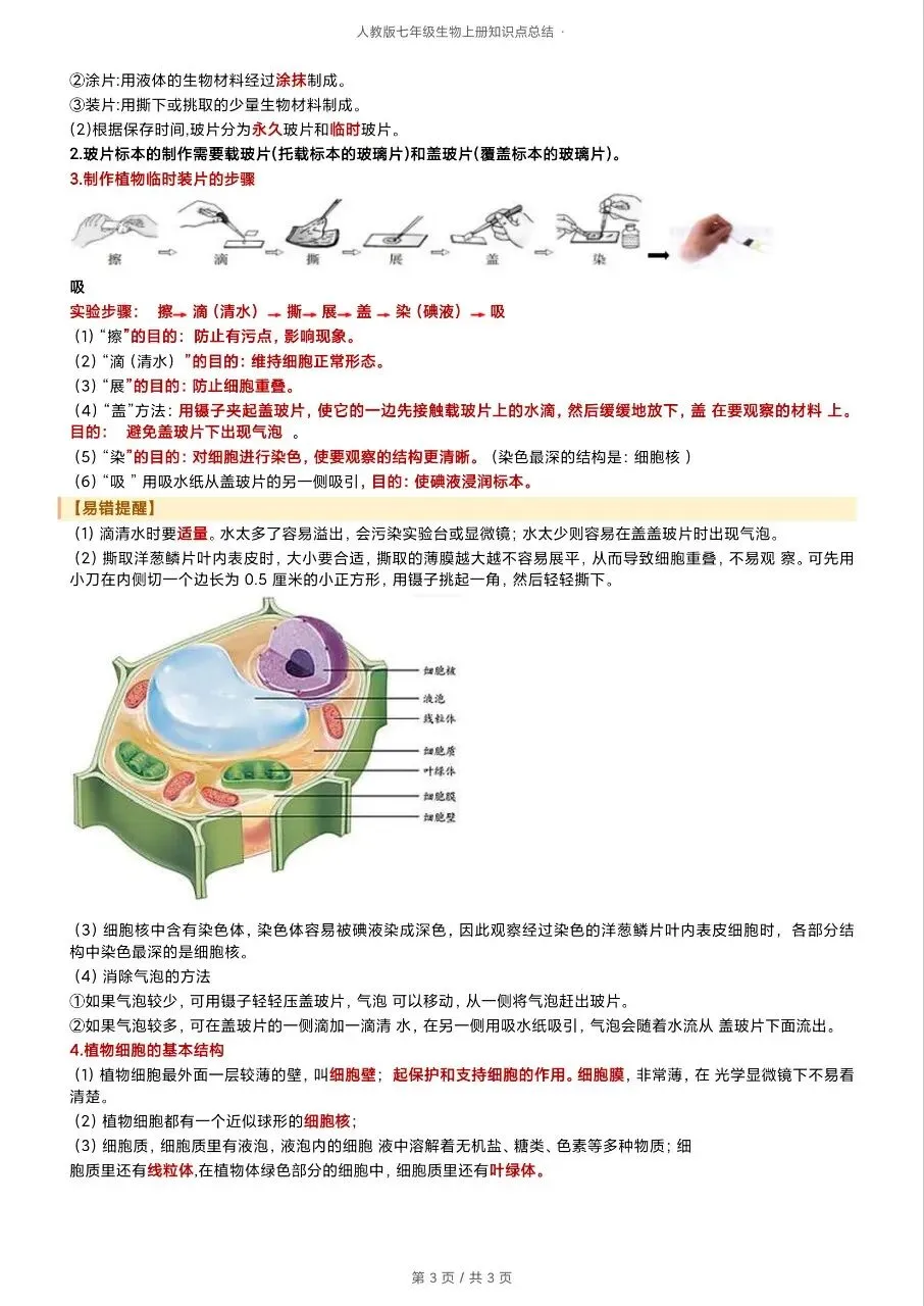 初一新版 2026 七上生物全册重点知识清单梳理必背总结,电子打印版!-第3张图片-四季读书网 初一新版 2026 七上生物全册重点知识清单梳理必背总结,电子打印版!-第3张图片-四季读书网