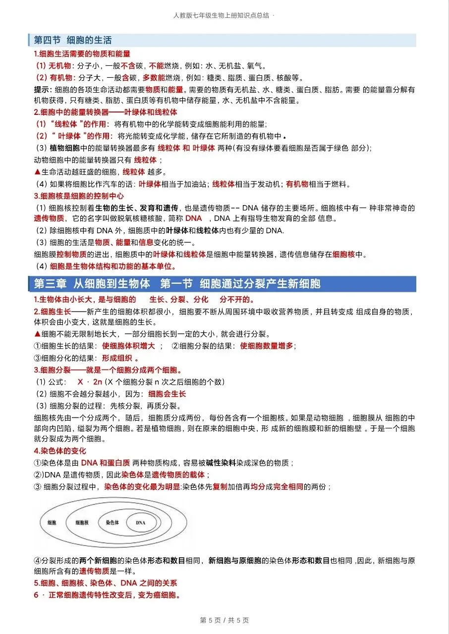 初一新版 2026 七上生物全册重点知识清单梳理必背总结,电子打印版!-第4张图片-四季读书网 初一新版 2026 七上生物全册重点知识清单梳理必背总结,电子打印版!-第4张图片-四季读书网