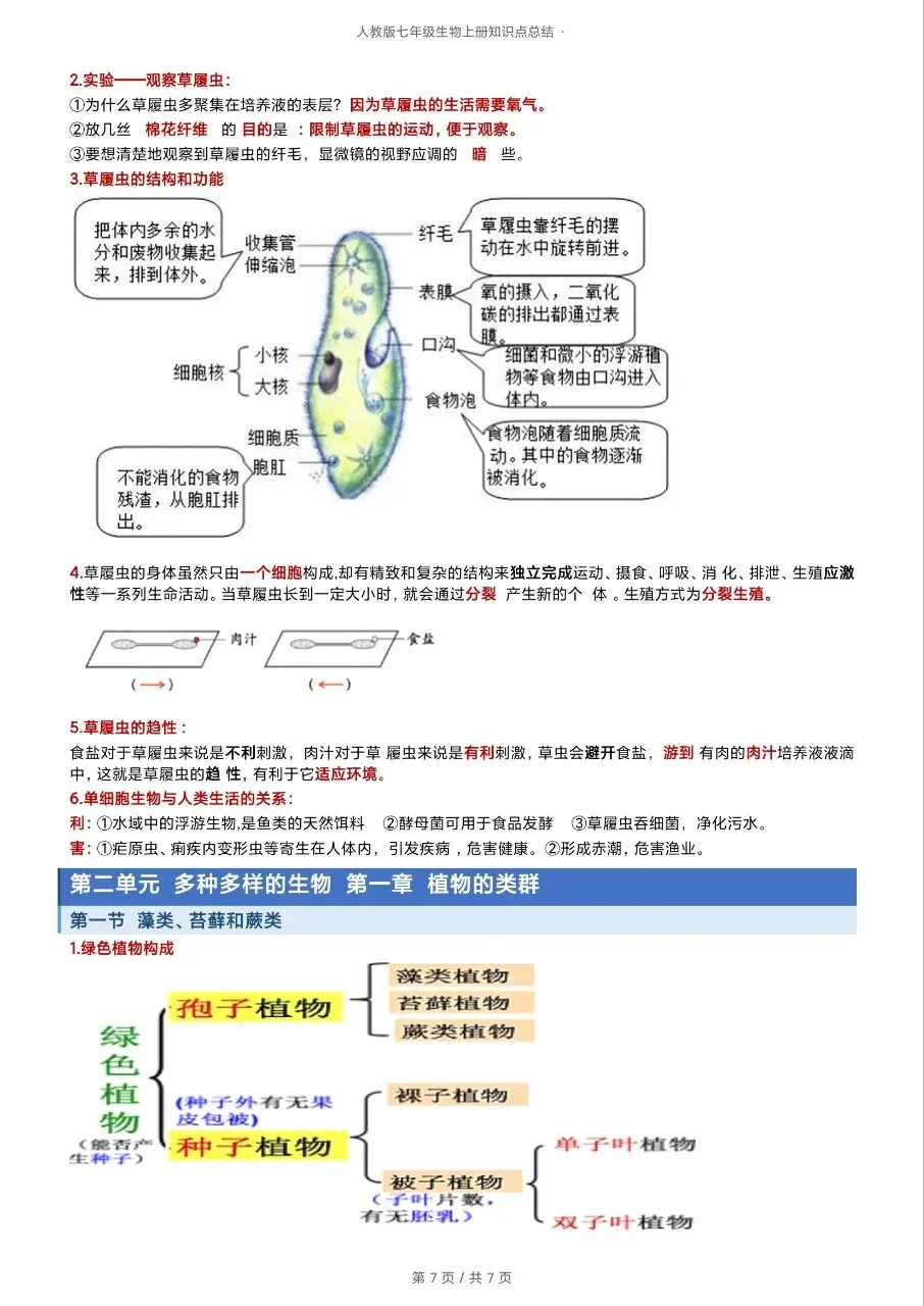 初一新版 2026 七上生物全册重点知识清单梳理必背总结,电子打印版!-第6张图片-四季读书网 初一新版 2026 七上生物全册重点知识清单梳理必背总结,电子打印版!-第6张图片-四季读书网
