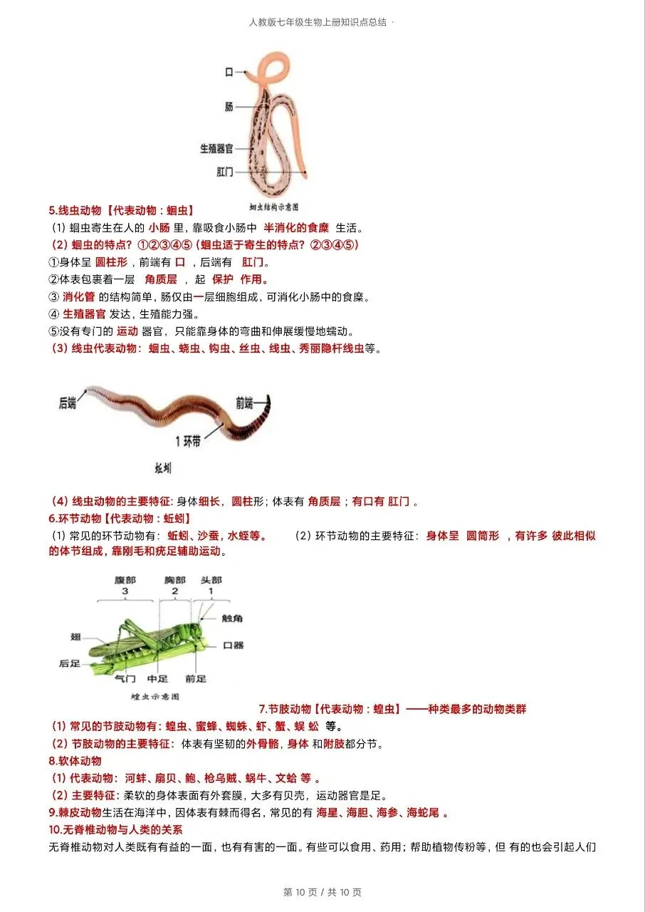初一新版 2026 七上生物全册重点知识清单梳理必背总结,电子打印版!-第9张图片-四季读书网 初一新版 2026 七上生物全册重点知识清单梳理必背总结,电子打印版!-第9张图片-四季读书网