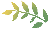 成绩出来别只问分数!试卷分析四步,一次考试顶十次刷题-第4张图片-四季读书网 成绩出来别只问分数!试卷分析四步,一次考试顶十次刷题-第4张图片-四季读书网