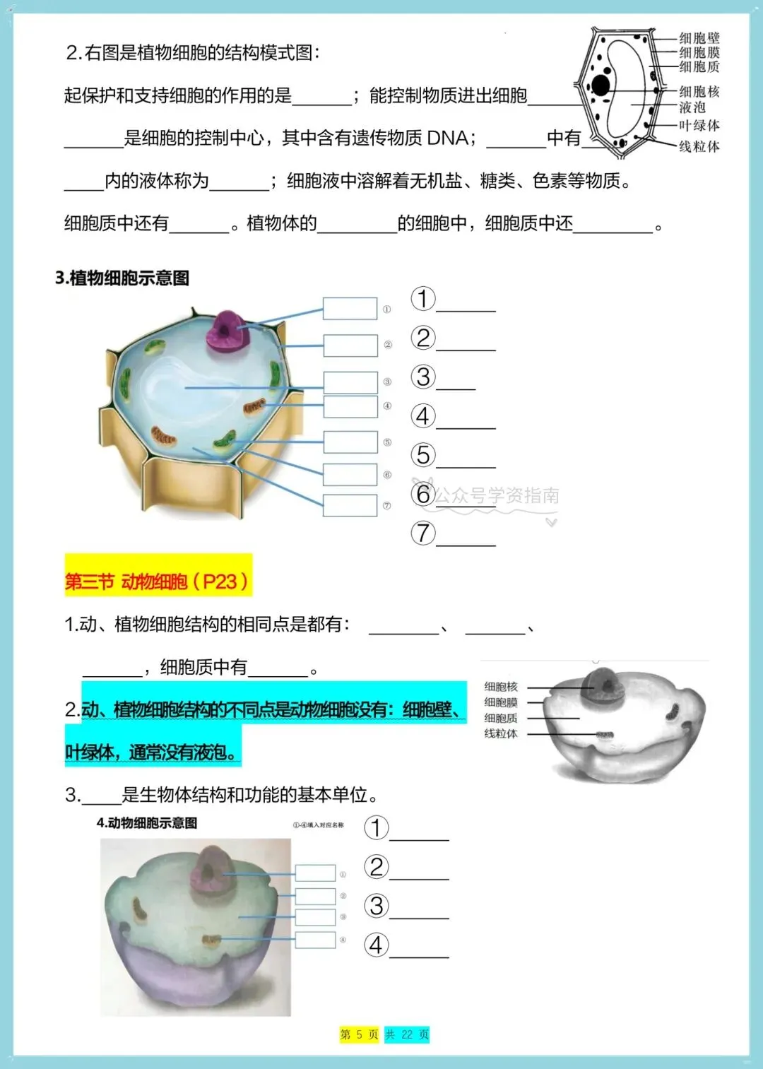 初一生物|2026年七年级上册生物全册重点知识总结(背诵+默写)-第5张图片-四季读书网 初一生物|2026年七年级上册生物全册重点知识总结(背诵+默写)-第5张图片-四季读书网
