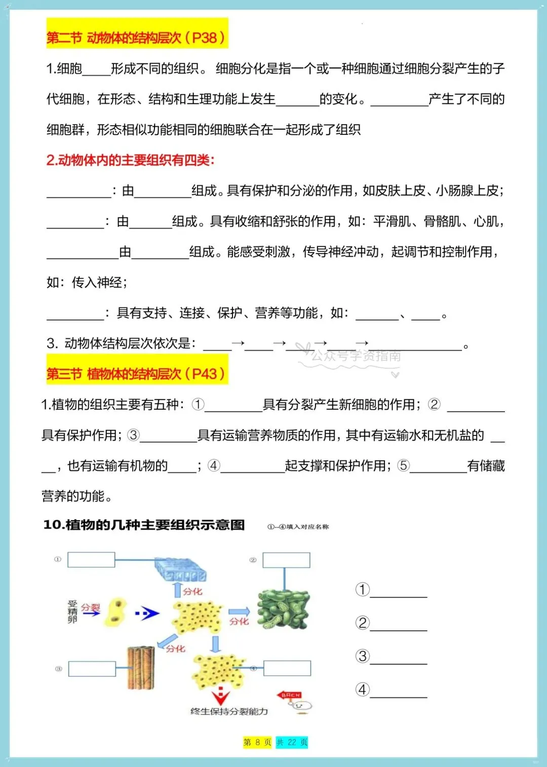 初一生物|2026年七年级上册生物全册重点知识总结(背诵+默写)-第7张图片-四季读书网 初一生物|2026年七年级上册生物全册重点知识总结(背诵+默写)-第7张图片-四季读书网