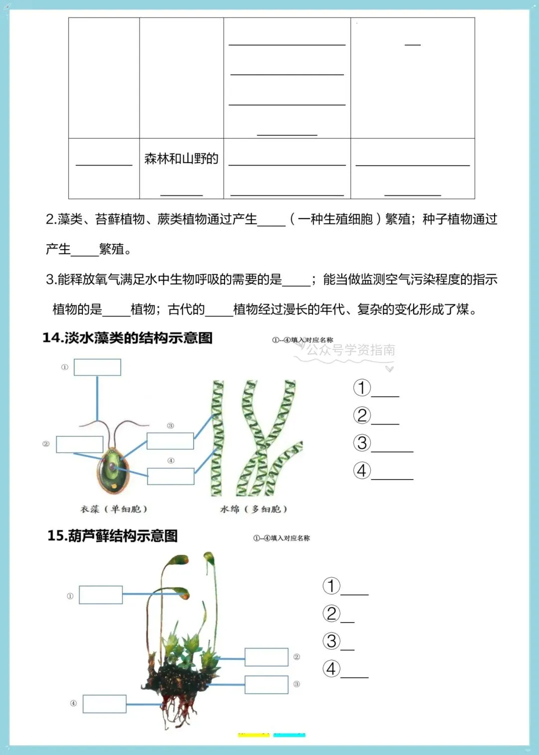 初一生物|2026年七年级上册生物全册重点知识总结(背诵+默写)-第8张图片-四季读书网 初一生物|2026年七年级上册生物全册重点知识总结(背诵+默写)-第8张图片-四季读书网