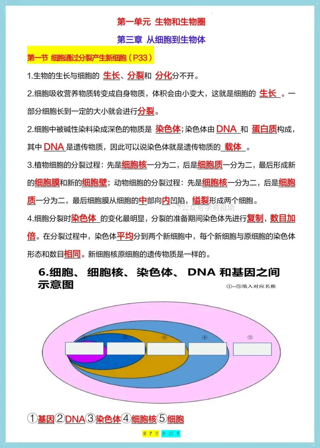 初一生物|2026年七年级上册生物全册重点知识总结(背诵+默写)-第12张图片-四季读书网 初一生物|2026年七年级上册生物全册重点知识总结(背诵+默写)-第12张图片-四季读书网
