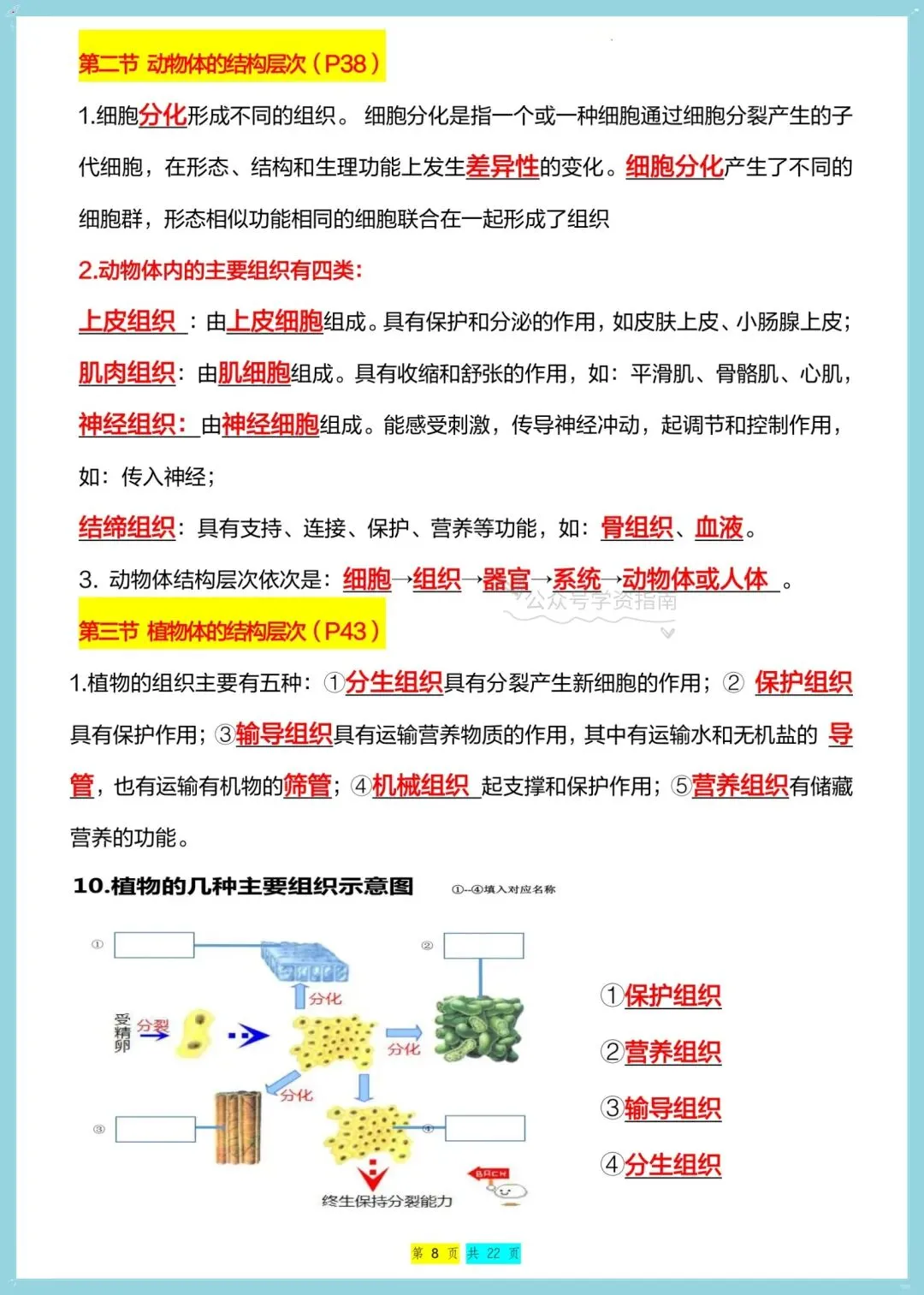 初一生物|2026年七年级上册生物全册重点知识总结(背诵+默写)-第13张图片-四季读书网 初一生物|2026年七年级上册生物全册重点知识总结(背诵+默写)-第13张图片-四季读书网