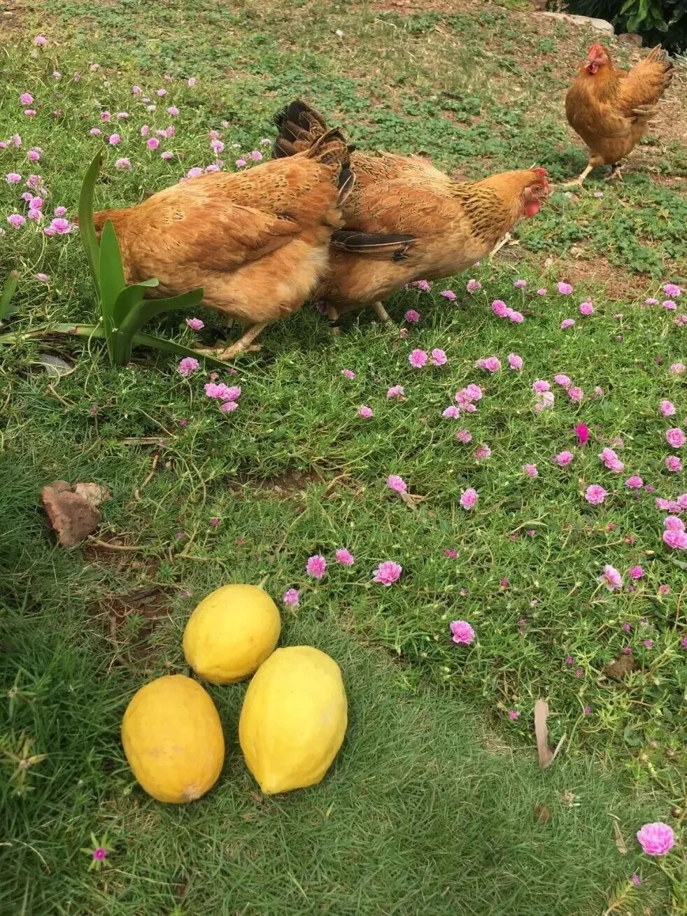 初三那年酣畅淋漓的师生同行-第3张图片-四季读书网
