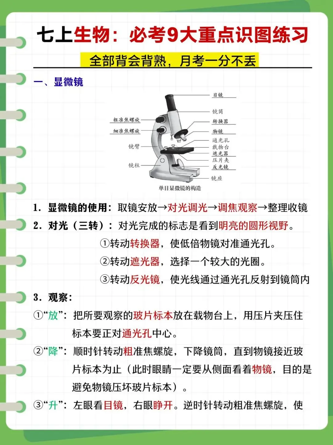 【初一】2026秋七年级上册全科核心知识点梳理汇总,有完整版可打印,建议家长领取一份打印给孩子!-第9张图片-四季读书网 【初一】2026秋七年级上册全科核心知识点梳理汇总,有完整版可打印,建议家长领取一份打印给孩子!-第9张图片-四季读书网