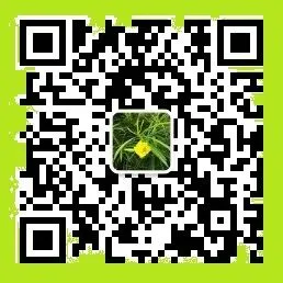 那年中考落榜-第31张图片-四季读书网