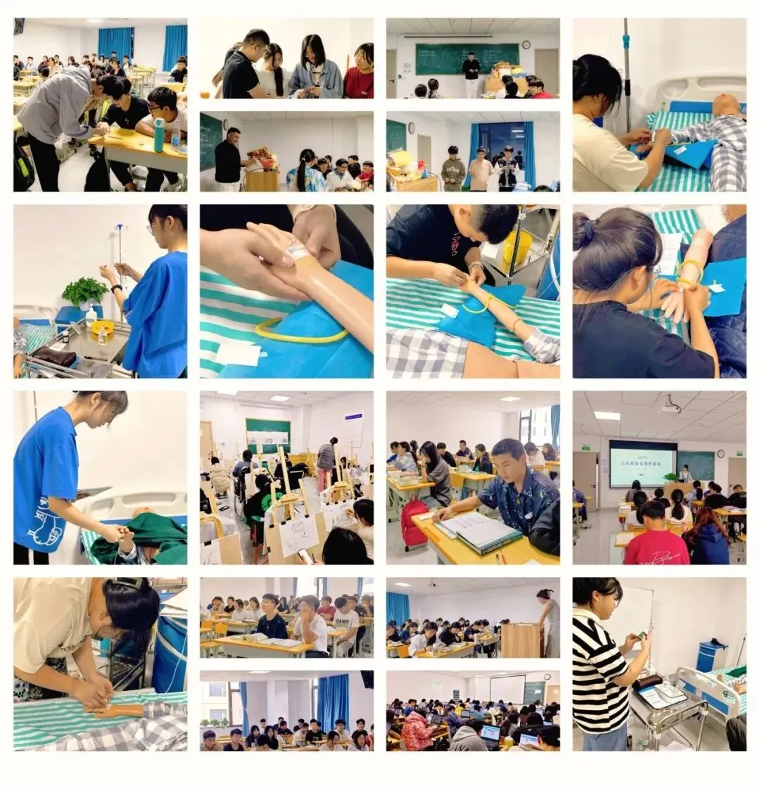 2027届考生注意:山东高考报名系统全新改版,报名攻略提前看-第71张图片-四季读书网 2027届考生注意:山东高考报名系统全新改版,报名攻略提前看-第71张图片-四季读书网