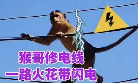 【初三物理】电流和电路,这篇一次讲透-第3张图片-四季读书网