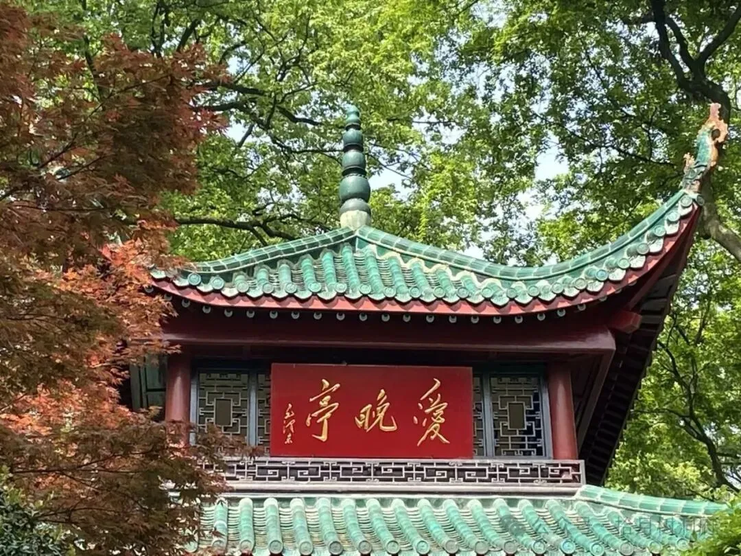 “从初三到毕业,十年的青春,她为什么一场正式恋爱都没留住”-第4张图片-四季读书网