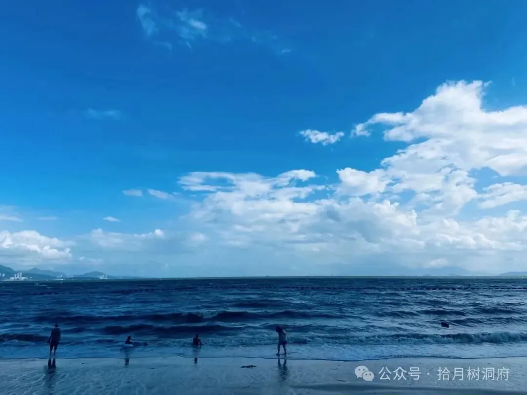 “从初三到毕业,十年的青春,她为什么一场正式恋爱都没留住”-第8张图片-四季读书网
