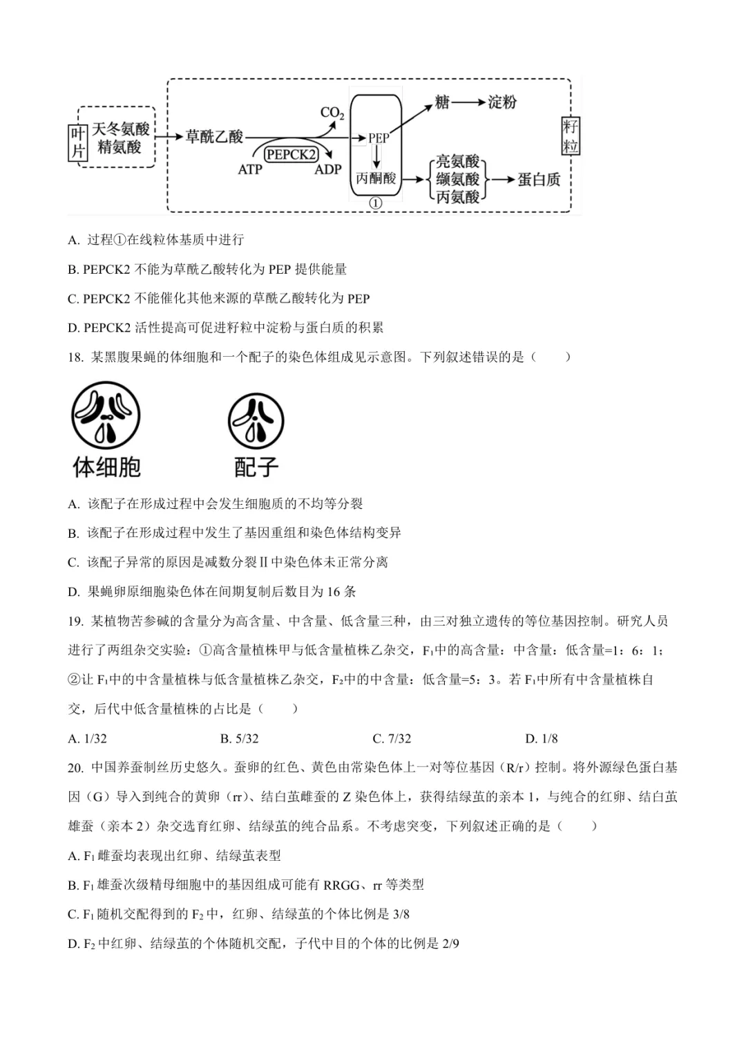 临沂高三上生物试卷(临沂一中·含答案)-第6张图片-四季读书网