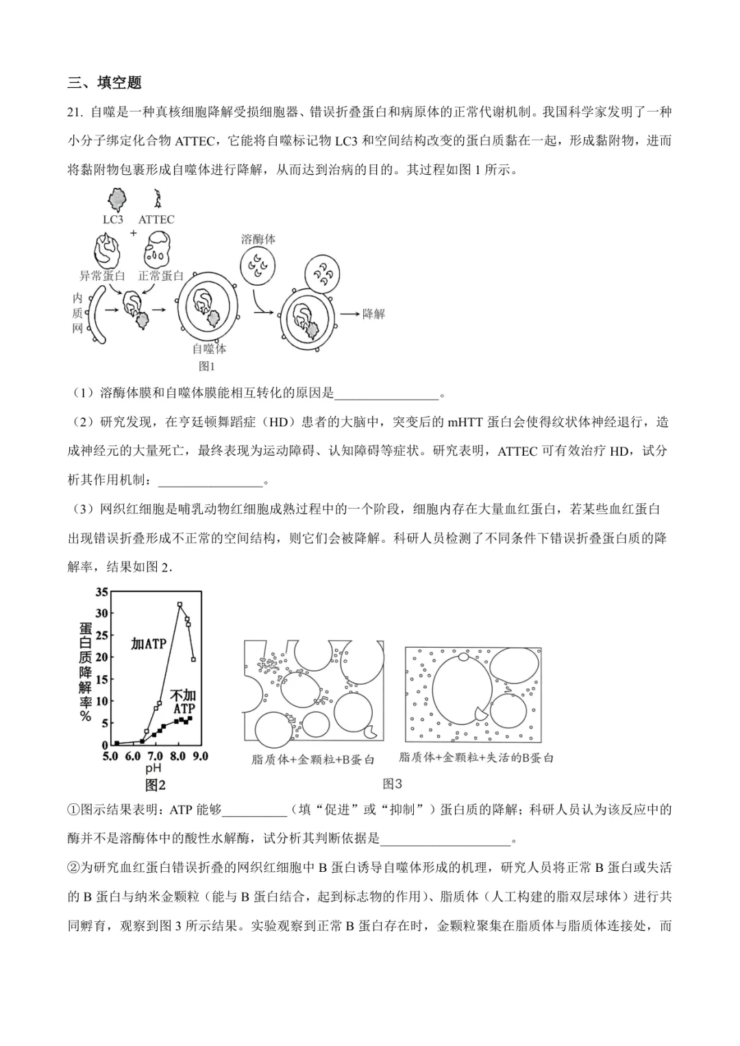 临沂高三上生物试卷(临沂一中·含答案)-第7张图片-四季读书网
