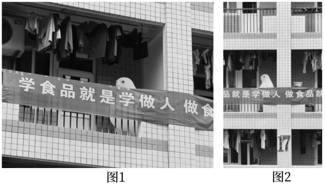 西石大人国庆返校考试试卷-第2张图片-四季读书网