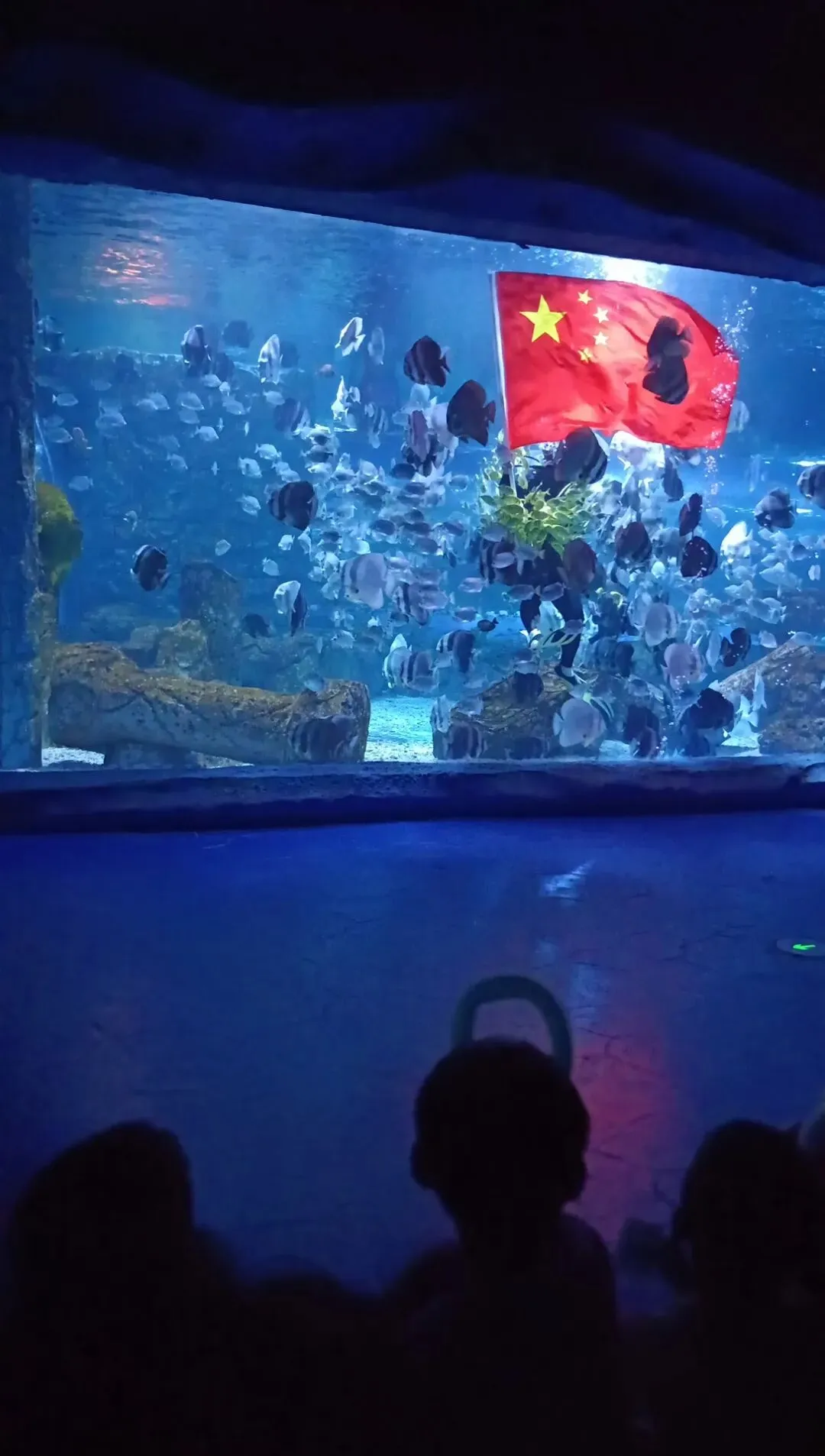 家有初三学生哥之国庆节期间……-第2张图片-四季读书网