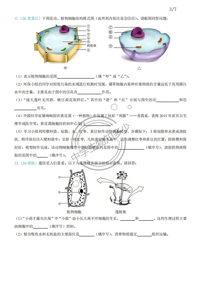 2026年中考生物试题汇编:生物体的结构层次30道-PDF版-第3张图片-四季读书网