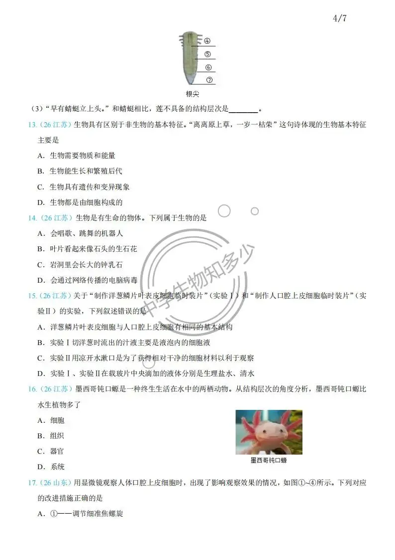 2026年中考生物试题汇编:生物体的结构层次30道-PDF版-第4张图片-四季读书网