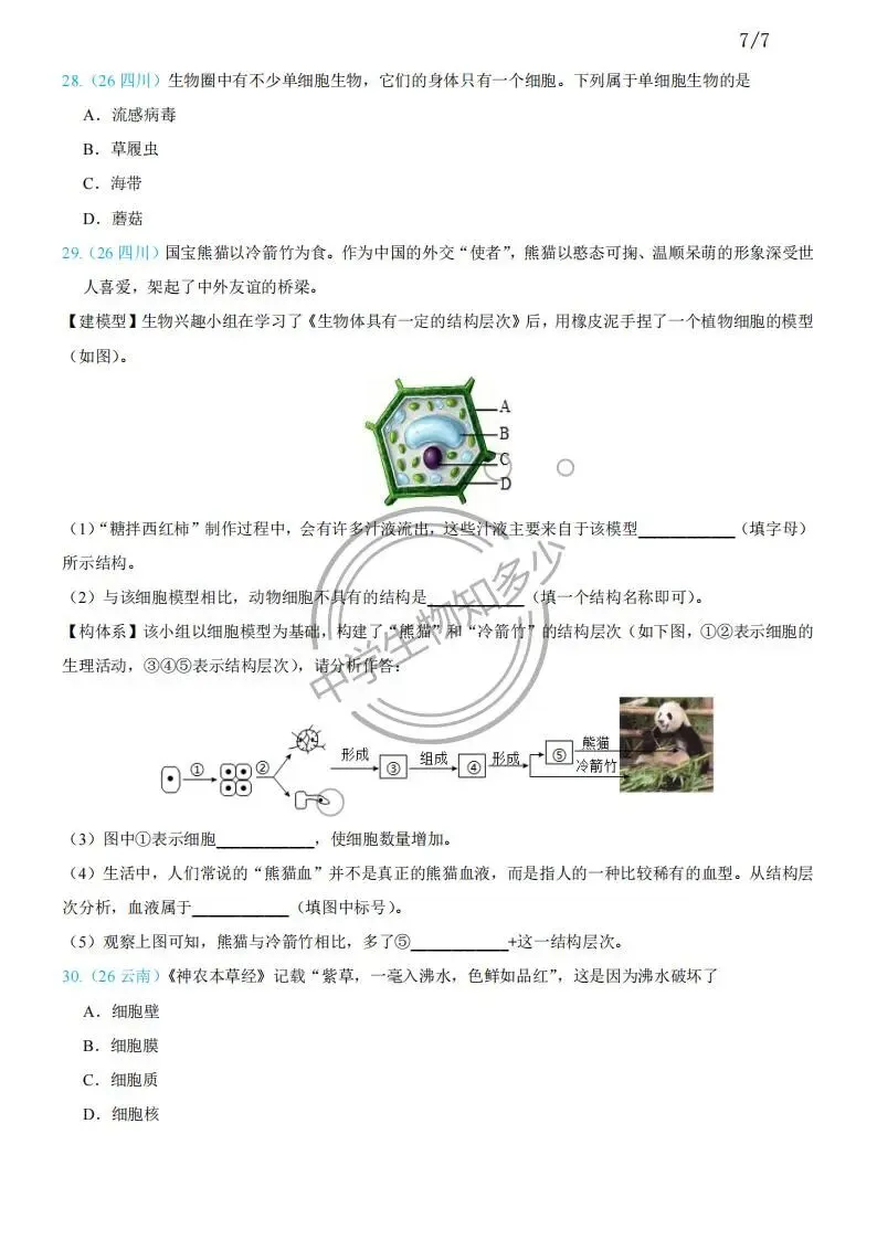 2026年中考生物试题汇编:生物体的结构层次30道-PDF版-第7张图片-四季读书网