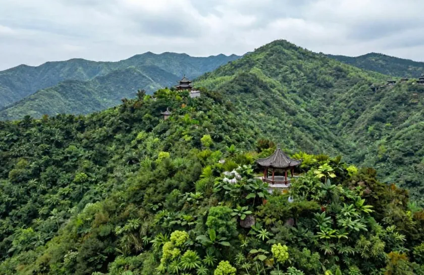 [老王说地]22分高考大题里的“中国药都”:樟树这道题,藏着农业区位全部的坑-第1张图片-四季读书网
