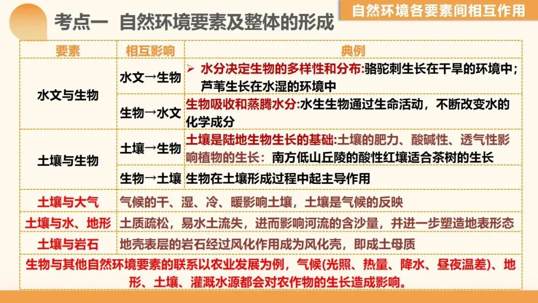 2027年高考地理一轮复习第17讲 自然环境的整体性(新高考新教材课件)学生觉得“会却不会做”?一套“找变量→推变化→串结果”思维搞定-第6张图片-四季读书网