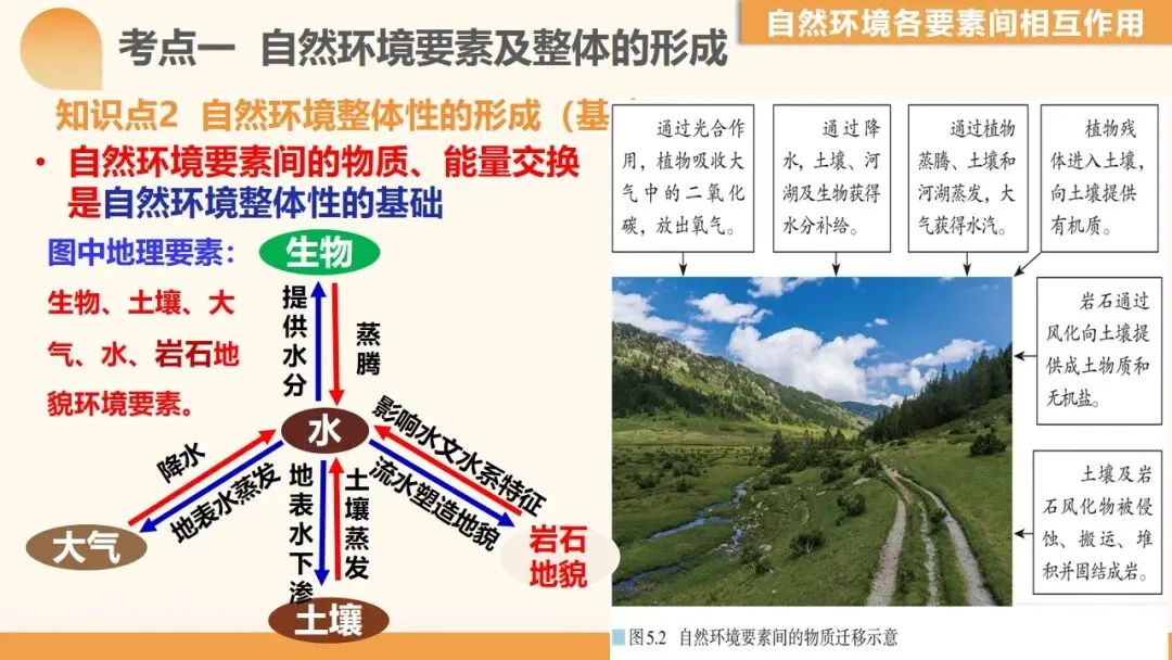 2027年高考地理一轮复习第17讲 自然环境的整体性(新高考新教材课件)学生觉得“会却不会做”?一套“找变量→推变化→串结果”思维搞定-第7张图片-四季读书网