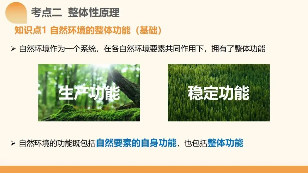 2027年高考地理一轮复习第17讲 自然环境的整体性(新高考新教材课件)学生觉得“会却不会做”?一套“找变量→推变化→串结果”思维搞定-第11张图片-四季读书网