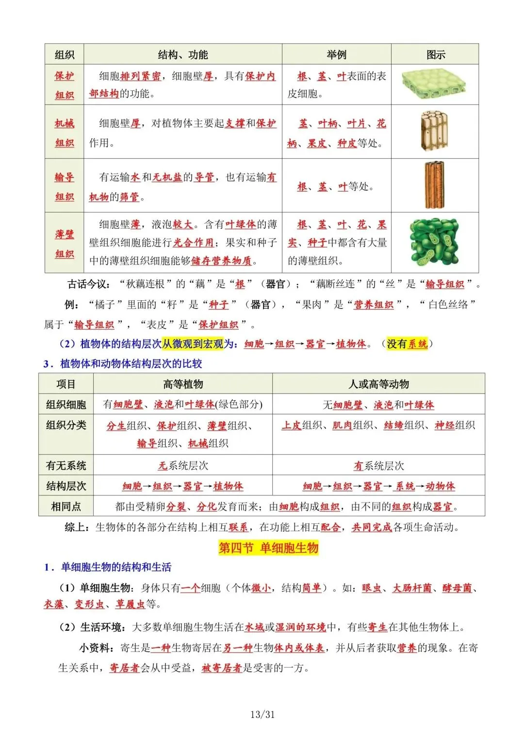 初一新版本七上生物全册基础知识点清单梳理必背总结电子打印版!(2026)-第3张图片-四季读书网
