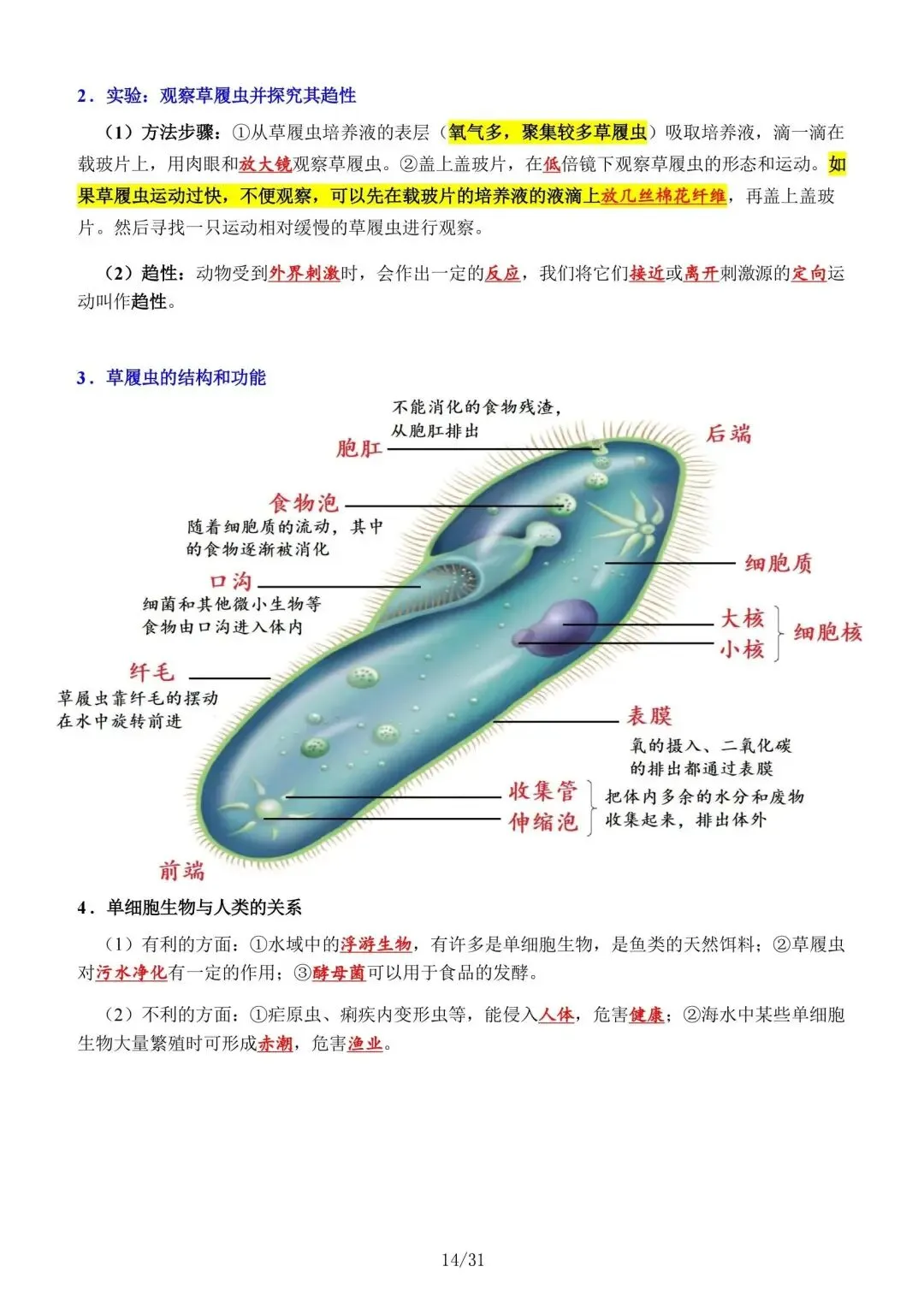 初一新版本七上生物全册基础知识点清单梳理必背总结电子打印版!(2026)-第4张图片-四季读书网