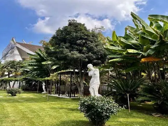 昆明新东方|艺考文化课/高考全日制辅导/半年集训,专注备考冲刺-第3张图片-四季读书网