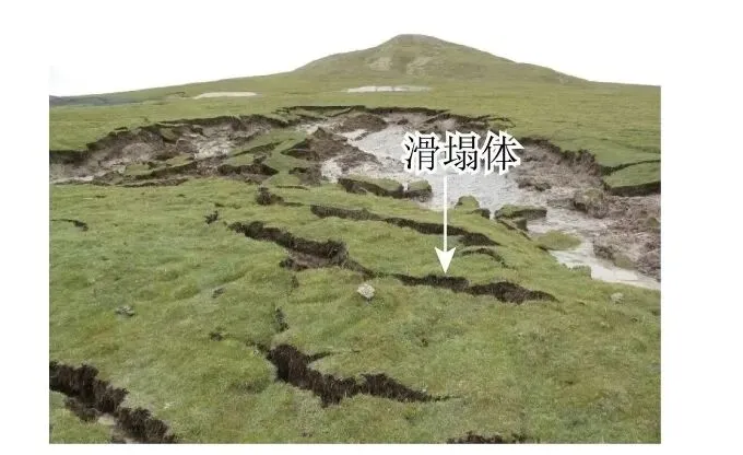 高考地理中的泥碳问题-第4张图片-四季读书网