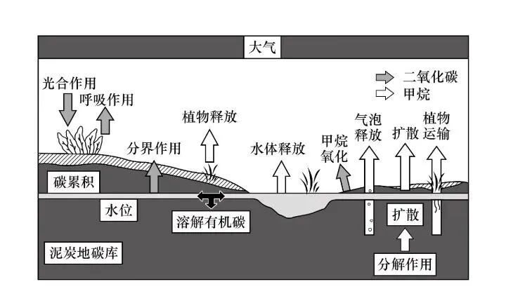 高考地理中的泥碳问题-第3张图片-四季读书网