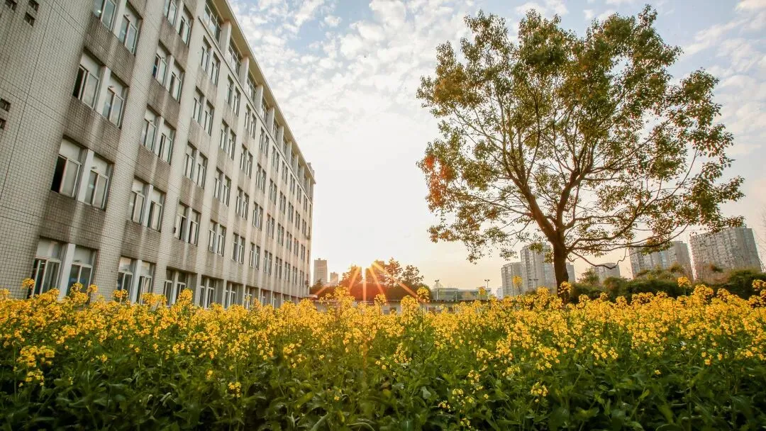 高考倒计时22天 | 爱上一座城,与浙同脉搏!浙大城市学院为高考学子加油!-第5张图片-四季读书网 高考倒计时22天 | 爱上一座城,与浙同脉搏!浙大城市学院为高考学子加油!-第5张图片-四季读书网