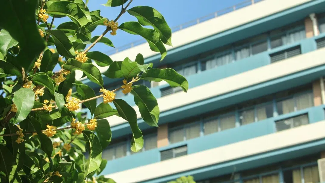 高考倒计时22天 | 爱上一座城,与浙同脉搏!浙大城市学院为高考学子加油!-第6张图片-四季读书网 高考倒计时22天 | 爱上一座城,与浙同脉搏!浙大城市学院为高考学子加油!-第6张图片-四季读书网