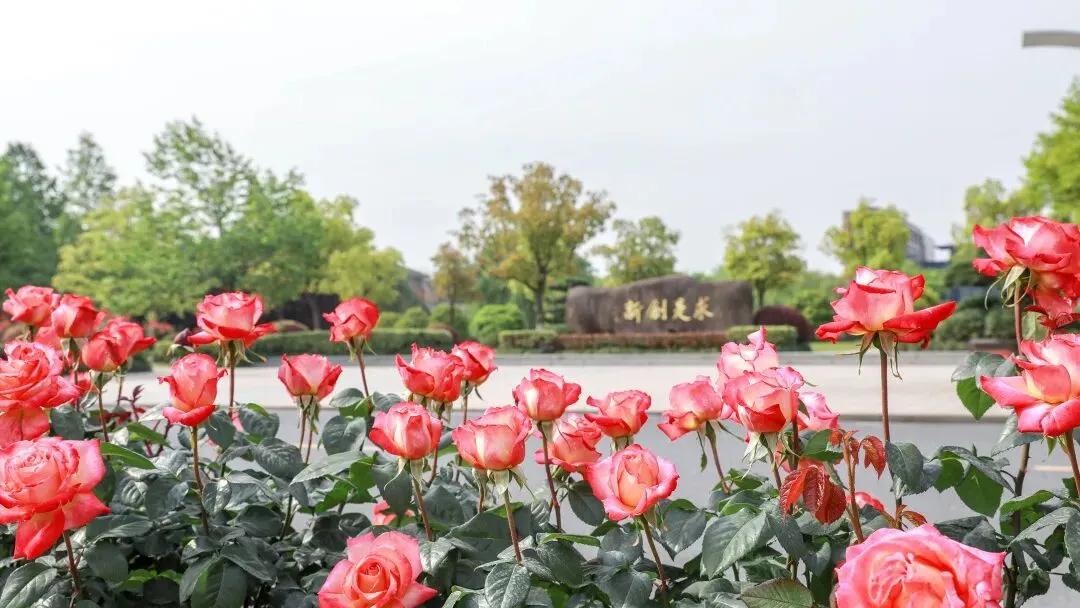 高考倒计时22天 | 爱上一座城,与浙同脉搏!浙大城市学院为高考学子加油!-第13张图片-四季读书网 高考倒计时22天 | 爱上一座城,与浙同脉搏!浙大城市学院为高考学子加油!-第13张图片-四季读书网