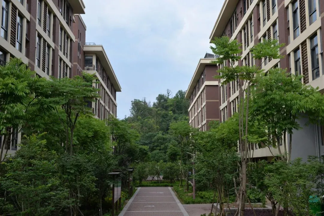 高考倒计时21天 | 智慧安防,保驾护航!浙江安防职业技术学院为学子加油!-第4张图片-四季读书网 高考倒计时21天 | 智慧安防,保驾护航!浙江安防职业技术学院为学子加油!-第4张图片-四季读书网
