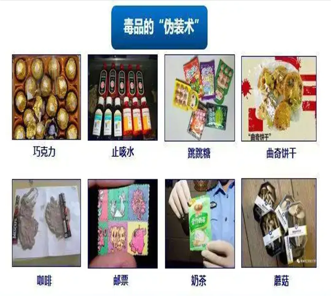 为青春设防,为未来护航|初一年级禁毒宣传教育专题讲座-第13张图片-四季读书网 为青春设防,为未来护航|初一年级禁毒宣传教育专题讲座-第13张图片-四季读书网