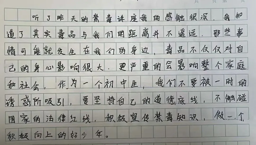 为青春设防,为未来护航|初一年级禁毒宣传教育专题讲座-第28张图片-四季读书网 为青春设防,为未来护航|初一年级禁毒宣传教育专题讲座-第28张图片-四季读书网