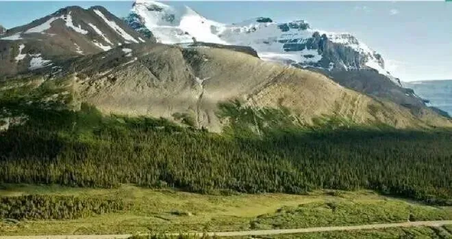高考地理:林线倒置-第3张图片-四季读书网 高考地理:林线倒置-第3张图片-四季读书网