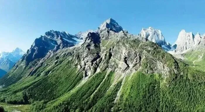 高考地理:林线倒置-第7张图片-四季读书网 高考地理:林线倒置-第7张图片-四季读书网