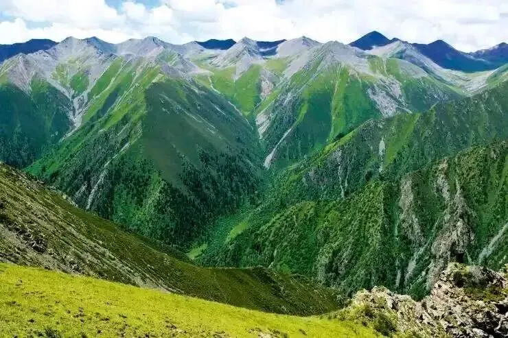 高考地理:林线倒置-第8张图片-四季读书网 高考地理:林线倒置-第8张图片-四季读书网