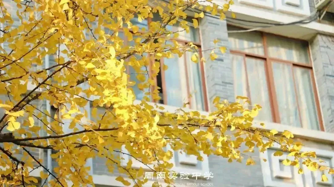 长沙市周南实验中学2026级初一新生入学须知-第10张图片-四季读书网