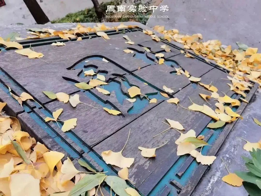 长沙市周南实验中学2026级初一新生入学须知-第11张图片-四季读书网